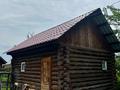 Отдельный дом · 3 комнаты · 50 м² · 10 сот., Антон Чехова 132 за 18 млн ₸ в Усть-Каменогорске — фото 8