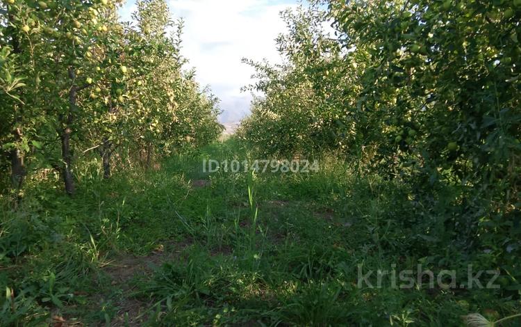 Жер телімі · 5 га, Қостоған, бағасы: 20 млн ₸ в Мерке — фото 2