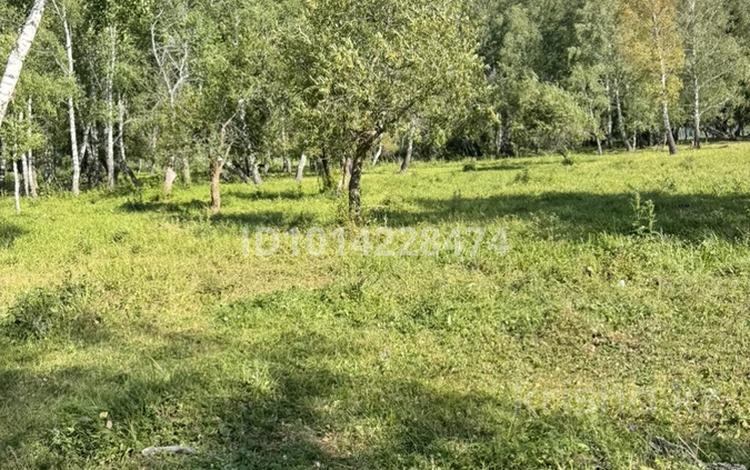 Жер телімі · 50 сотық, Катон-Қарагай, бағасы: 30 млн ₸ в  — фото 2