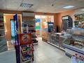 Магазины и бутики • 64 м² за 18 млн 〒 в Актау, 31Б мкр — фото 4