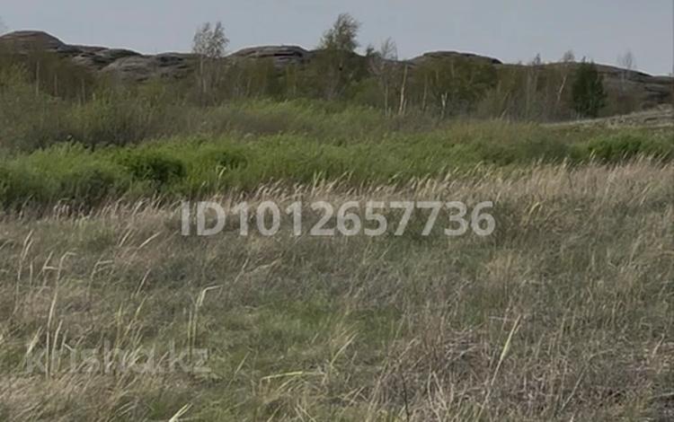 Жер телімі · 5000 га, Ерейментау, бағасы: 58.8 млн ₸ — фото 2
