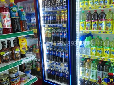 Продуктовый магазин · 45 м² за 5.5 млн ₸ в Астане, Сарыарка р-н