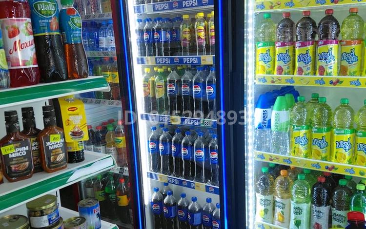 Продуктовый магазин · 45 м², бағасы: 5.5 млн ₸ в Астане, Сарыарка р-н — фото 2