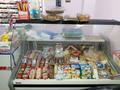 Продуктовый магазин · 45 м², бағасы: 5.5 млн ₸ в Астане, Сарыарка р-н — фото 7