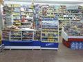 Магазины и бутики · 109 м² за 400 000 ₸ в Балхаше — фото 5