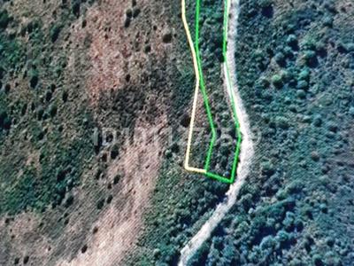 Участок · 24 сотки, мкр Таусамалы — Садоводство "ОтанСамалы" за 38 млн 〒 в Алматы, Наурызбайский р-н