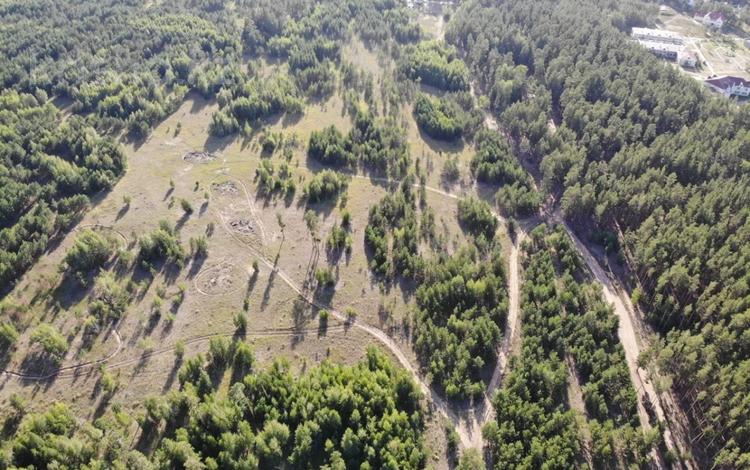 Участок · 5 га, Щербаково за 60 млн 〒 в Костанайской обл. — фото 2