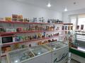 Магазины и бутики • 40 м² за 18.5 млн 〒 в Актау, 7-й мкр — фото 6