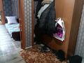 4-бөлмелі пәтер · 58 м² · 4/5 қабат, Мызы 41 — Казахстан, бағасы: 24 млн ₸ в Усть-Каменогорске, Ульбинский — фото 7