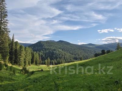 Участок · 2300 га, Катон-Карагай за 680 млн 〒