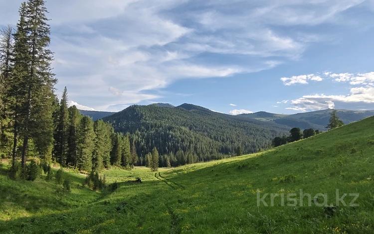 Участок · 2300 га, Катон-Карагай за 750 млн 〒 — фото 2