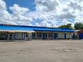 Свободное назначение, магазины и бутики, общепит · 317.9 м² за 60 млн ₸ в Сергеевке