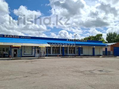 Свободное назначение, магазины и бутики, общепит · 317.9 м² за 60 млн ₸ в Сергеевке