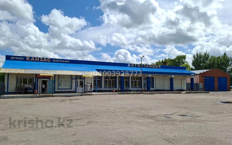 Свободное назначение, магазины и бутики, общепит · 317.9 м² за 60 млн ₸ в Сергеевке — фото 2