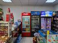 Свободное назначение, магазины и бутики, общепит · 317.9 м² за 60 млн ₸ в Сергеевке — фото 2