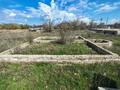 Участок · 8 соток, Мичурино 1 за 10 млн ₸ в Мичуринское — фото 2