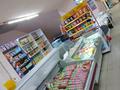 Магазины и бутики • 17 м² за 3 млн 〒 в Кокшетау — фото 3