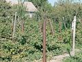Дача · 1 комната · 16 м² · 7.5 сот., мкр Кокарна, 6-ая улица 16 — Рыбник за 10 млн ₸ в Атырау — фото 6