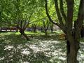 Жеке үй · 9 бөлме · 532 м² · 1650 жүзд., Қошқар ата, бағасы: 95 млн ₸ в Боралдай — фото 22