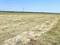 Участок · 200 га, Междуреченск за 55 млн ₸