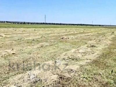 Участок · 200 га, Междуреченск за 55 млн ₸