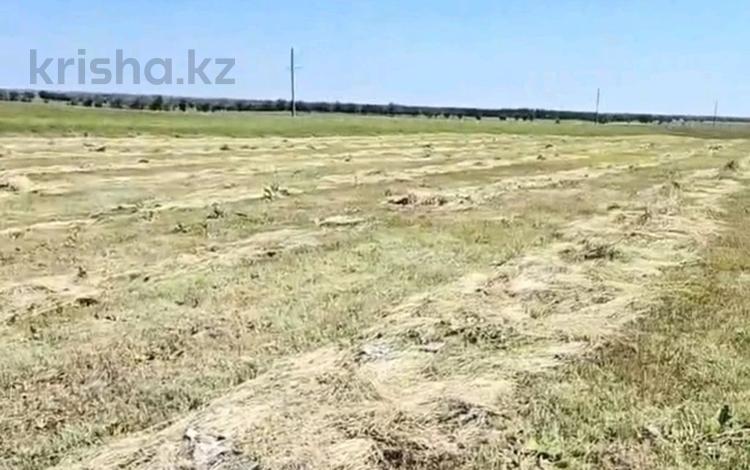 Участок · 200 га, Междуреченск за 55 млн ₸ — фото 2