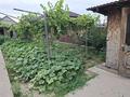 Жеке үй · 3 бөлме · 70 м² · 12 жүзд., Ынтымақ ш/а., бағасы: 30 млн ₸ в Алатау, мкр Ынтымак — фото 15