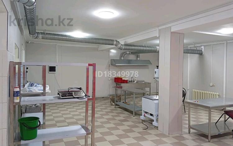 Өнеркәсіптік база · 20 сотық, Сырым батыра 11, бағасы: 250 млн ₸ в Астане, Есильский р-н — фото 20