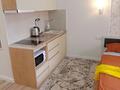 1-комнатная квартира · 25 м² · 3/5 этаж, Е 103 1/1 за 250 000 ₸ в Астане, Нура р-н — фото 5