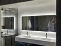 Отдельный дом · 8 комнат · 500 м² · 10 сот., Айжарык 23 за 315 млн ₸ в Бельбулаке (Мичурино) — фото 34