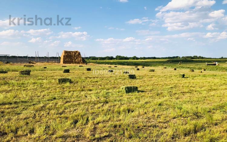 Жер телімі · 3.5 га, Караой, бағасы: 36 млн ₸ — фото 13