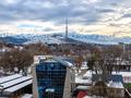 4-комнатная квартира · 166 м² · 6/10 этаж, Кабанбай Батыра за 166 млн ₸ в Алматы, Медеуский р-н — фото 17