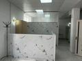Еркін, кеңселер, дүкендер мен бутиктер, қоймалар, қоғамдық тамақтану орны, сұлулық салондары, монша, қонақ үй және демалыс орындары, медорталықтар мен дәріханалар, білім орталықтары, ойын-сауық · 330 м², бағасы: 129.5 млн ₸ в Кемертогане — фото 8