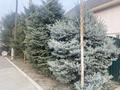 Отдельный дом · 7 комнат · 213 м² · 6.5 сот., Жансугурова 2 за 153 млн ₸ в  — фото 6