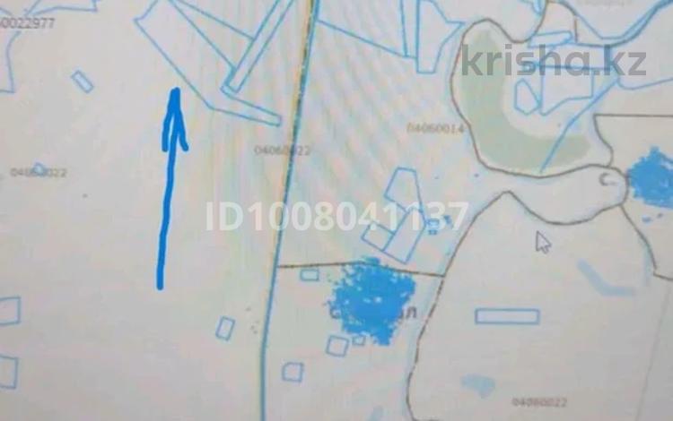 Жер телімі · 300 га, Есбол (Кулагино), бағасы: 5 млн ₸ — фото 2