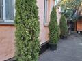 Жеке үй · 2 бөлме · 25 м² · 3 жүзд., Руставели 14, бағасы: 150 000 ₸ в Алматы, Турксибский р-н — фото 4