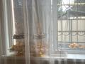 Жеке үй · 5 бөлме · 145 м² · 6 жүзд., Ұлжан-1 ш/а., улица Балкудык 39 39 — Жалайыр, бағасы: 95 млн ₸ в Алматы, Алатауский р-н — фото 8