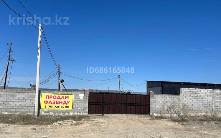 Сельское хозяйство · 5000 м² за 55 млн 〒 в Талдыкоргане — фото 2