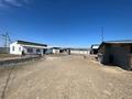 Сельское хозяйство · 5000 м² за 55 млн 〒 в Талдыкоргане — фото 2