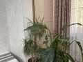 4-бөлмелі пәтер · 95 м² · 1/5 қабат, 3-й микрорайон, 3-й микрорайон 11 — Янги шахар, бағасы: 42 млн ₸ в Шымкенте, Туран р-н — фото 5