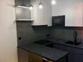 1-бөлмелі пәтер · 45.5 м² · 10/10 қабат, Жансугурова 92а — Табачка, бағасы: 250 000 ₸ в  — фото 11