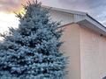 Отдельный дом · 4 комнаты · 140 м² · 5 сот., Сазда-3, Радистов — Переулок Спартак за 46 млн ₸ в Актобе — фото 8