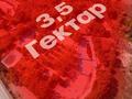 Участок · 30 га, Бейбарыса 77/1 за 1.5 млрд ₸ в Байсерке — фото 3