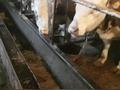 Участок · 22 га, Байзак за 50 млн ₸ в Жамбылской обл. — фото 4
