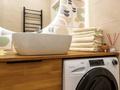 3-бөлмелі пәтер · 75 м² · 14/15 қабат, Розыбакиева 320, бағасы: 40 000 ₸ в Алматы, Бостандыкский р-н — фото 11