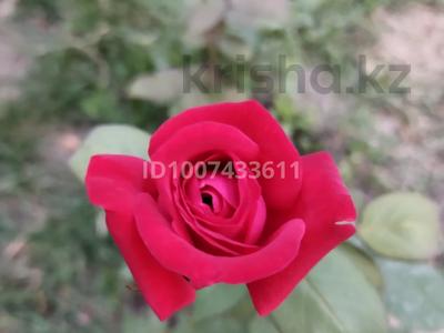 Отдельный дом · 2 комнаты · 39 м² · 5 сот., Юго-Восточная 6 — Вишнёвая за 15.5 млн 〒 в Кыргауылдах