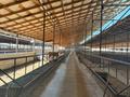 Откорм база. Ферма. · 22000 м², бағасы: 200 млн ₸ в Шымкенте, Каратауский р-н — фото 16