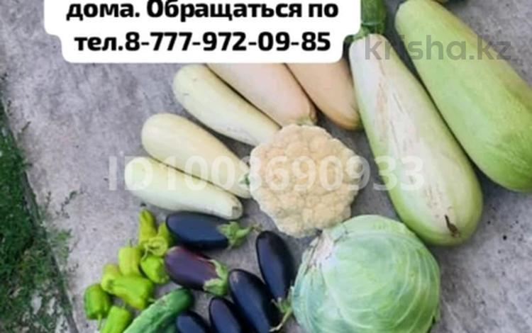 Жер телімі · 4.21 сотық, Притобольская 7А — Район Наримановского рынка СО Мичуринец, бағасы: 5 млн ₸ в Костанае — фото 2