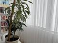 1-бөлмелі пәтер · 47 м² · 4/9 қабат, Сары Арқа ш/а 39 — Площадь Исатай-Махамбета, бағасы: 300 000 ₸ в Атырау, мкр Сары Арка — фото 9