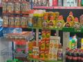 Магазины и бутики • 200 м² за 45 млн 〒 в Таразе — фото 22